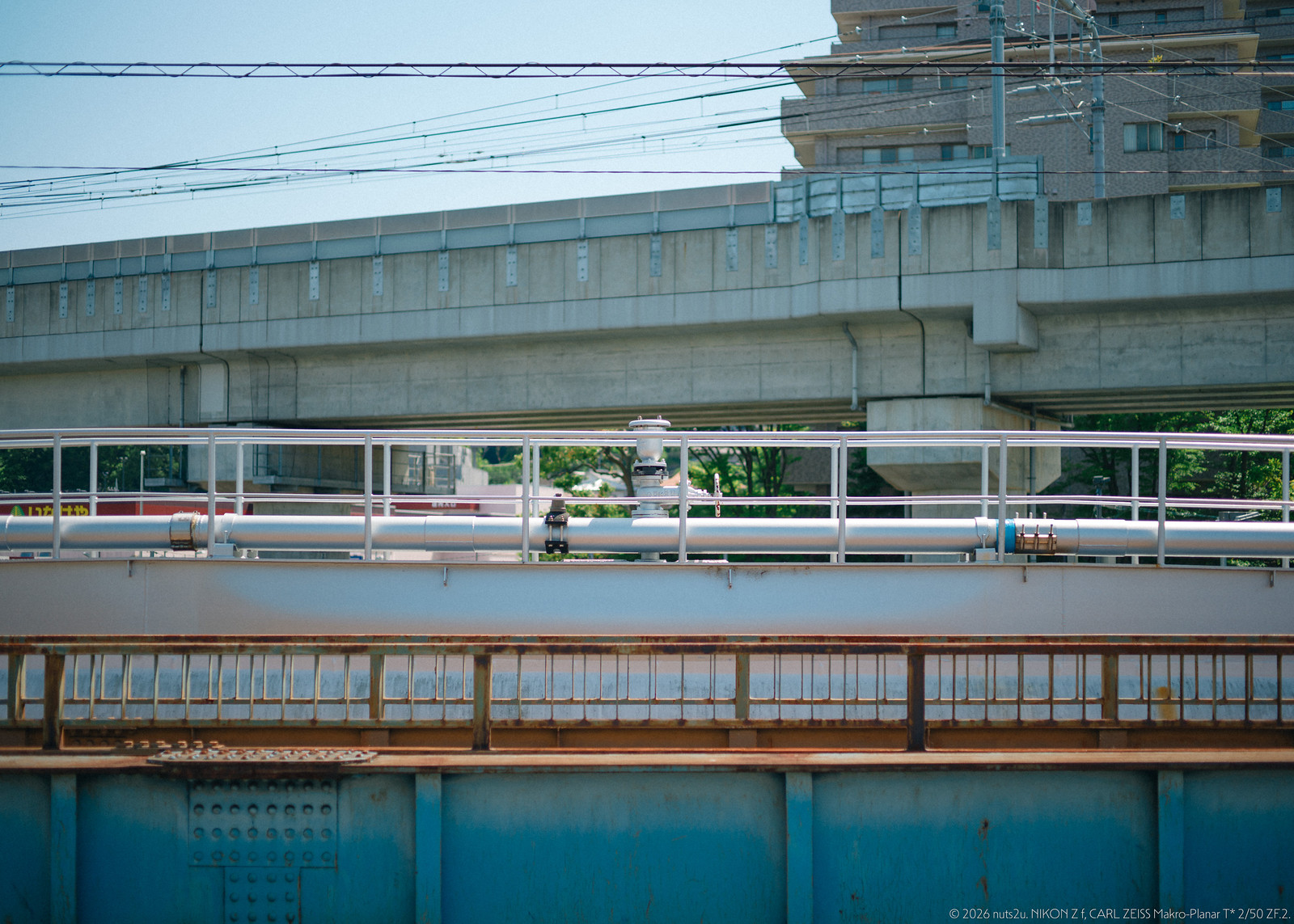 DSC_5483_01_wm
