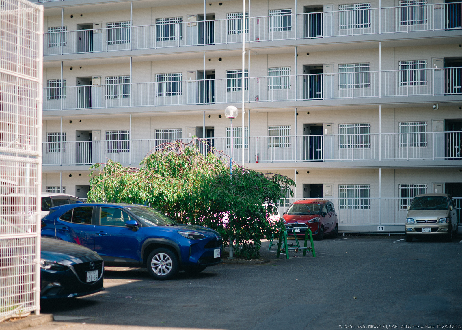 DSC_5494_01_wm